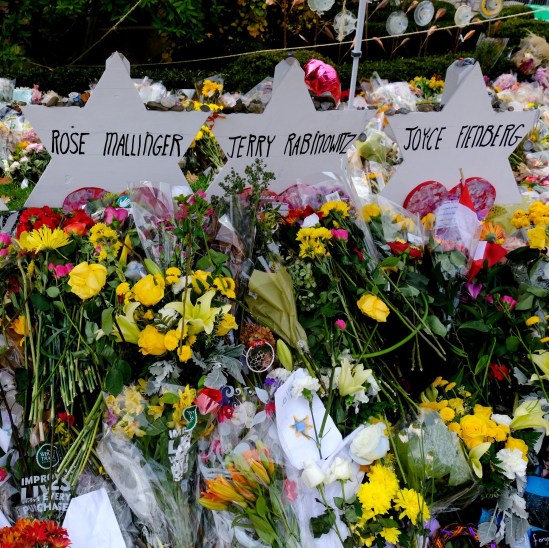 fall 2018 F2954.jpeg