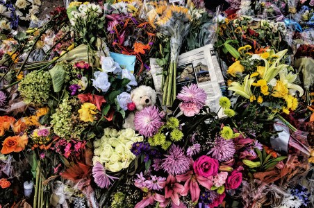 2018-11-08 12.46.25-1.jpg