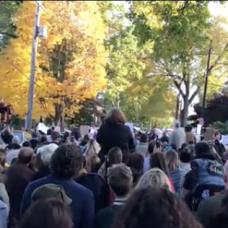 Screen Shot 2019-03-23 at 1.46.57 PM